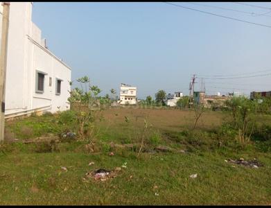 Commercial Plot