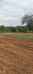 Others image of 1130.0 Sq.ft   Commercial Plot for rent in Shoolagiri for 100000