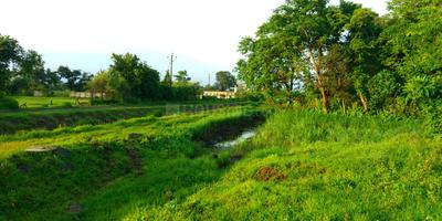 Others image of 1089.0 Sq.ft   Commercial Plot for sale in Belondakhar for 320000