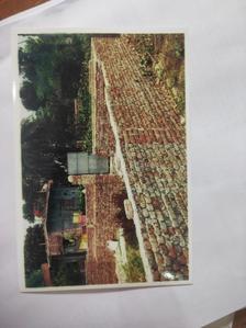 Others image of 1800.0 Sq.ft   Commercial Plot for sale in Williams Town for 22000000