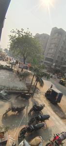 Others image of 378.0 Sq.ft   Shop for sale in New Maninagar for 4500000