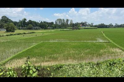 Commercial Plot