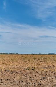 Commercial Plot