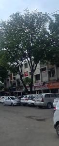 Others image of 3000.0 Sq.ft   Shop for sale in Sector 20 for 125000000