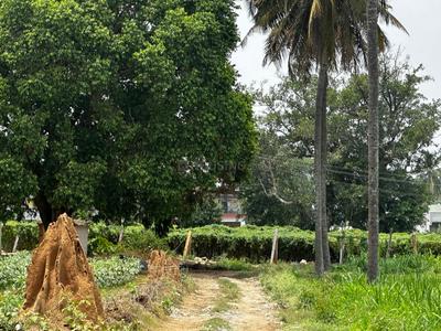 Others image of 96921.0 Sq.ft   Commercial Plot for sale in Chandapura for 116305200