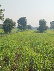 Others image of 25000.0 Sq.ft   Commercial Plot for rent in Hadapsar for 100000