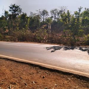 Commercial Plot