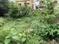 Others image of 2700.0 Sq.ft   Commercial Plot for sale in Santoshpur for 18000000