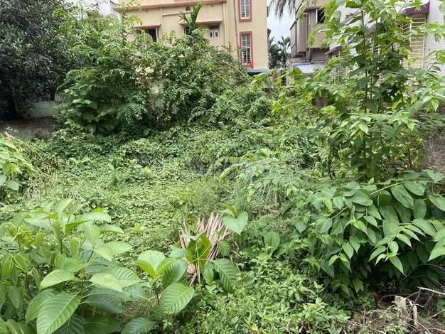 Others image of 2700.0 Sq.ft   Commercial Plot for sale in Santoshpur for 18000000