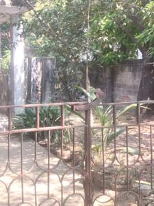 Others image of 6000.0 Sq.ft   Commercial Plot for sale in Perungudi for 75000000