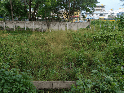 Commercial Plot