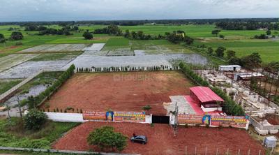 Commercial Plot