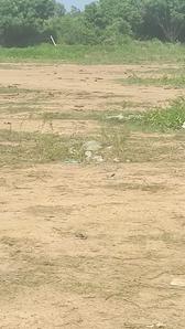 Others image of 35000.0 Sq.ft   Commercial Plot for rent in Kattupakkam for 450000