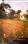 Others image of 1250.0 Sq.ft   Commercial Plot for sale in Ennaikaran for 3100000
