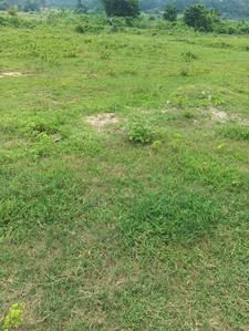 Floor Plan image of 22604.0 Sq.ft   Commercial Plot for sale in Chhatakulhi for 200000