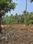 Others image of 8708.0 Sq.ft   Commercial Plot for sale in Elamaram for 11000000
