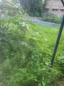 Others image of 18000.0 Sq.ft   Commercial Plot for rent in Kothanur for 400000