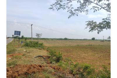 Commercial Plot