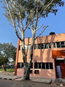 Others image of 5500.0 Sq.ft   Warehouse for rent in Industrial Area Phase I for 180000