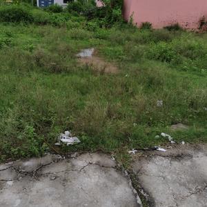 Others image of 2000.0 Sq.ft Commercial Plot for sale in Jagjeetpur for 14000000