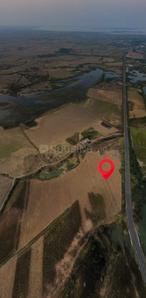 Commercial Plot