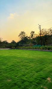 Commercial Plot
