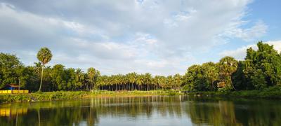 Others image of 30000.0 Sq.ft Commercial Plot for sale in Kanjikode for 58900000