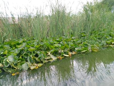 Others image of 300000.0 Sq.ft   Commercial Plot for sale in Hyderpora for 6000000