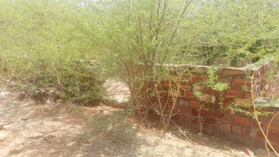 Others image of 40000.0 Sq.ft   Commercial Plot for rent in Soorsagar for 50000