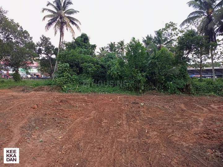 74120 sq.ft Commercial Plot for sale in Thiruvalla, Pathanamthitta ID