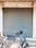 Others image of 325.0 Sq.ft   Shop for rent in Behrampura for 38000