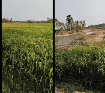 Others image of 150000.0 Sq.ft   Commercial Plot for rent in Jaynagar for 5000000