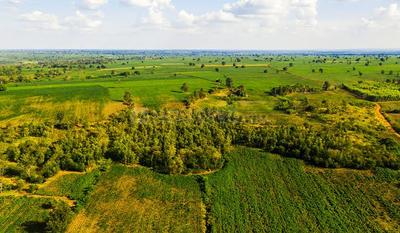Commercial Plot