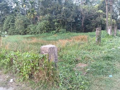 Commercial Plot
