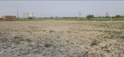 Others image of 43560.0 Sq.ft   Commercial Plot for rent in Manjhawali for 150000