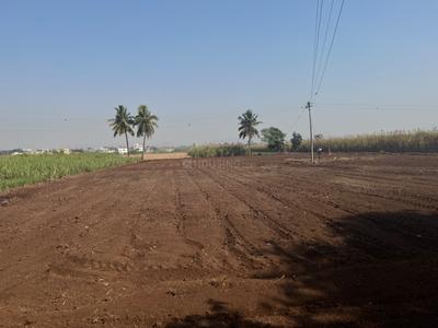 Others image of 22000.0 Sq.ft   Commercial Plot for rent in Lohegaon for 150000