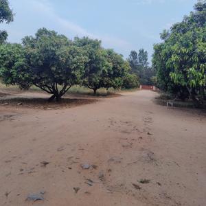 Commercial image of 49000.0 Sq.ft  Ready to use Office Space for rent in Bidadi for 600000