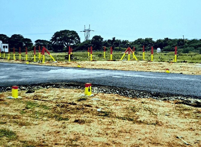 Gallery Cover Pic of Cross Flora 2