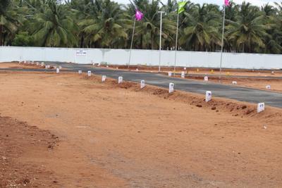 Rose and Lakshmi Garden Project Images