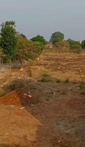 Residential Lands for Sale in Millennia Burgundy Orchards