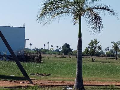 Residential Lands for Sale in Miraacle Green Town Villa Plots Ponneri
