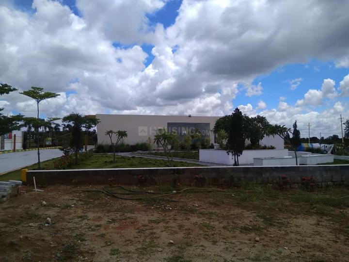 Gallery Cover Pic of Vensai Temple Tree