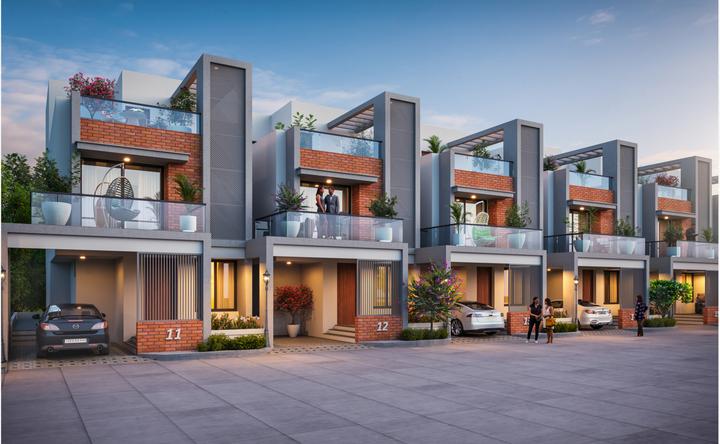 Gallery Cover Pic of Dream 19