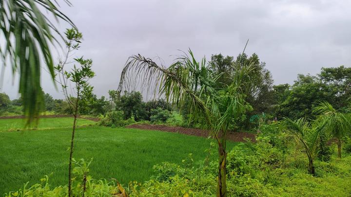 Gallery Cover Pic of Avani Plots In Vindhane