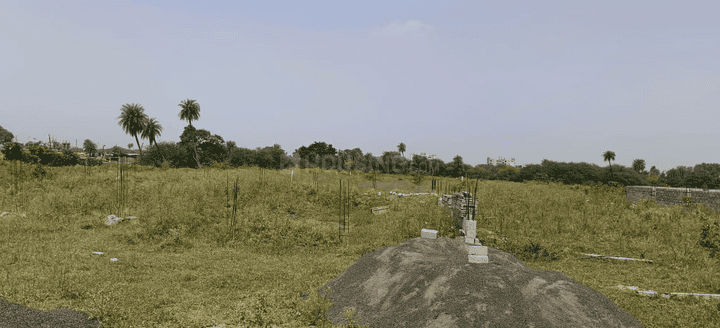 Gallery Cover Pic of Mccoy Shanti Park