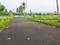 Gallery Cover Pic of Golden County Phase 1