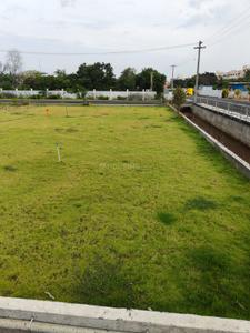 Royal The Royal Plots Project Images