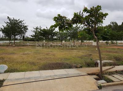 Residential Plot
