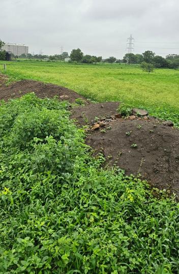 Gallery Cover Pic of Tirupati Kamdhenu Park