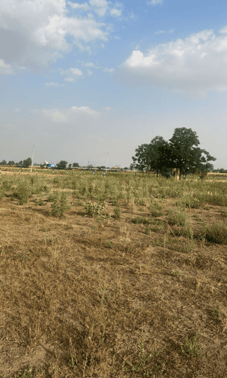 Gallery Cover Pic of Eldeco Viviana Select